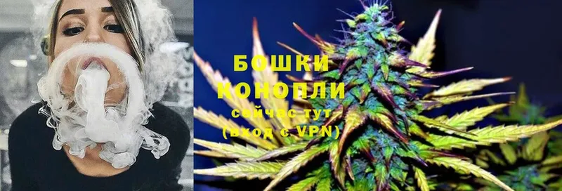 Бошки марихуана THC 21%  Весьегонск 